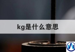 kg是什么意思(kg是什么意思很污的)